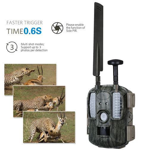 Hunting Camera Traps Photo Bl Lp G Hunting Camera With Mp