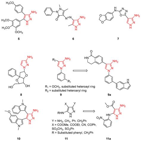 IJMS Free Full Text Amino Pyrazoles In Medicinal Chemistry A Review