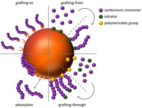 Polymers Free Full Text Synthesis Characterization And