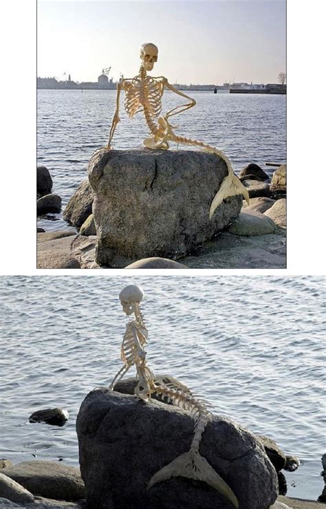 Real Life Mermaid Skeleton