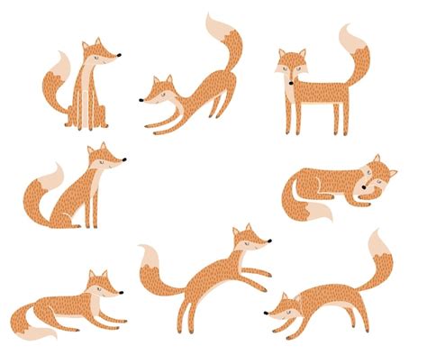 Premium Vector | Set of cute cartoon foxes