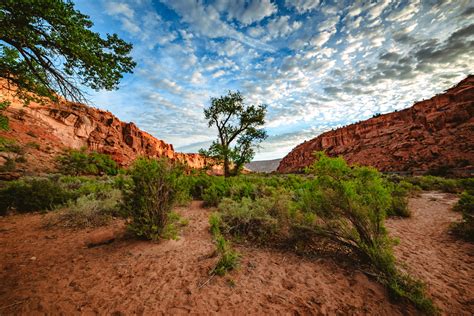 Down In The Canyons Of The Dominguez Escalante National Conservation