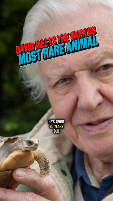 David Attenborough Meets The Rarest Animal In The World🌎 🐢 In 2023