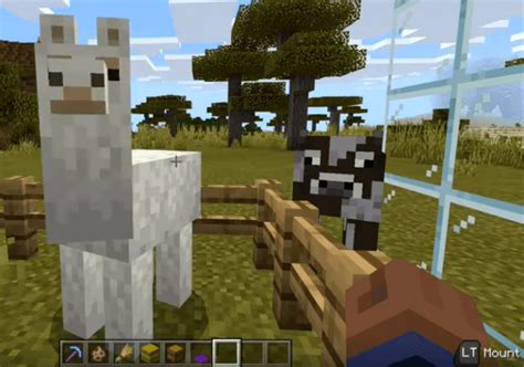 How To Tame A Llama In Minecraft And Ride It