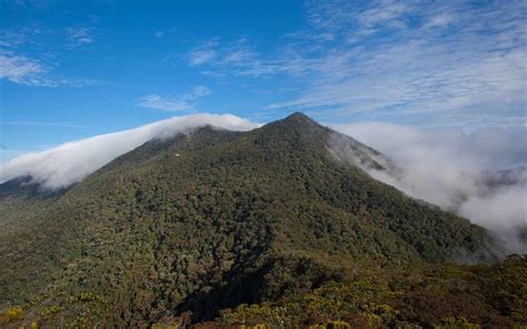 Familiarization Trip To Trek Mt Trus Madi Sabah Matta