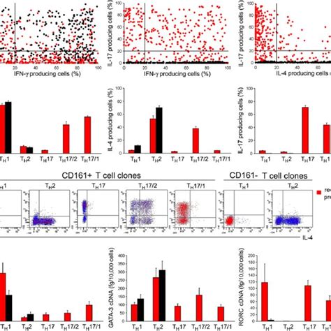 Cytokine Profile And Transcription Factor Levels Of T Cell Clones