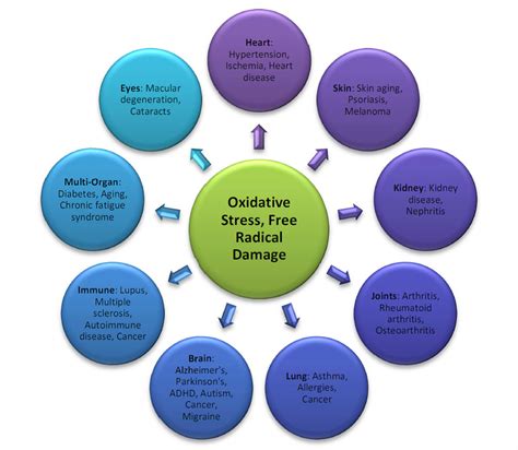 What is Oxidative Stress and 12 Ways to Minimize It's Effects - oxidative stress