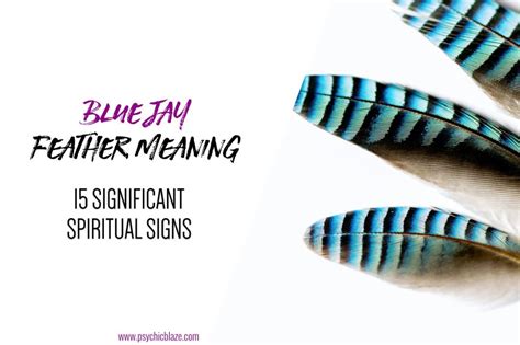 Finding A Blue Jay Feather Meaning Symbolism