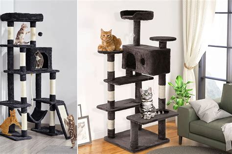 Which Black Cat Tree Is Right For Your Furry Friend