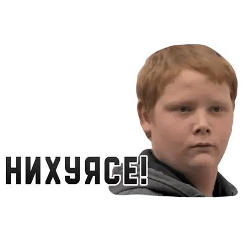 Набор стикеров Мемы для Telegram – добавить бесплатно – Всё для Telegram