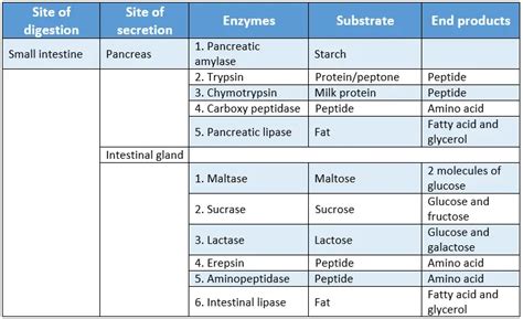 Wbbse Solutions For Class Life Science And Environment Chapter