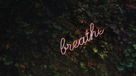 Breathe Tim Goedhart 3840 X 2160 R Wallpaper