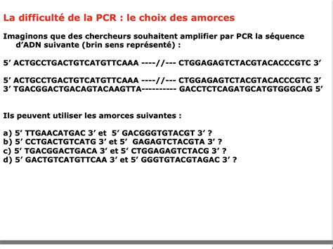 Pcr Choix Des Amorces Ue G Nome Tutorat Associatif Toulousain