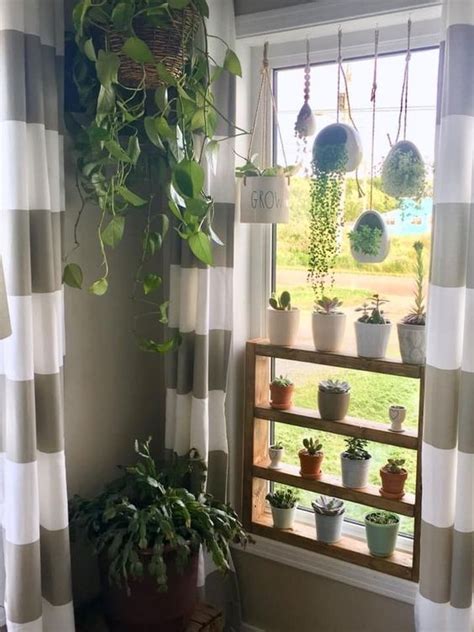 Creative Plant Shelves Ideas To Inspire You Greening Up Your Space