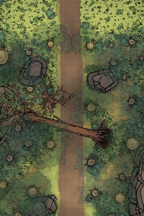 Forest Battle Map Dnd E