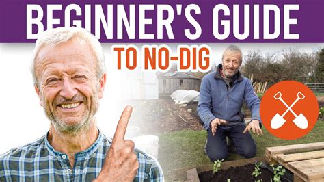 How To Build A No Dig Garden Bed And The Benefits Of Composting Youtube