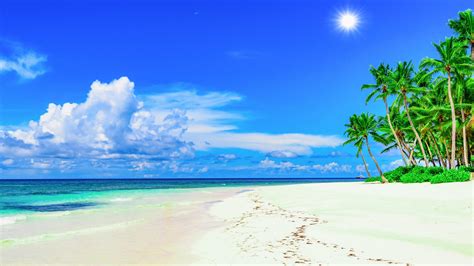 Sunny Beach Wallpaper - Beach Sunny Background - 3840x2160 - Download ...