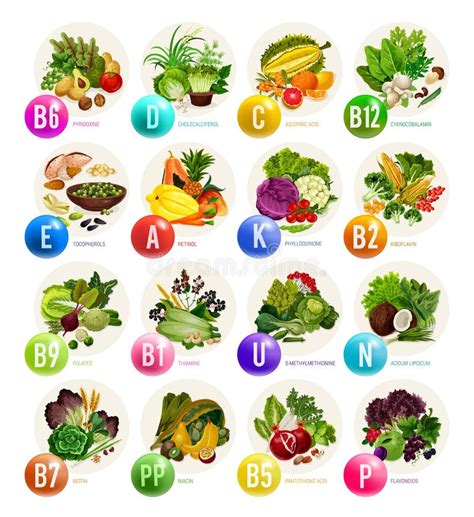 Vitamins in Fruits, Nuts and Vegetables Stock Vector - Illustration of ...