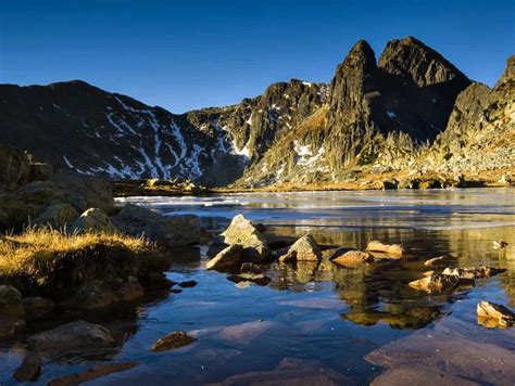 retezat wilderness european wilderness network