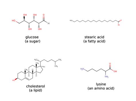 Small Molecules Metabolomics