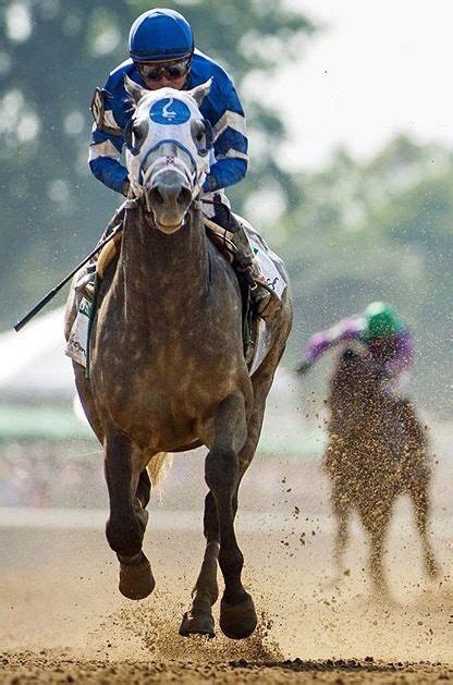 Frosted Thoroughbred Horse Racing Saratoga Horse Racing