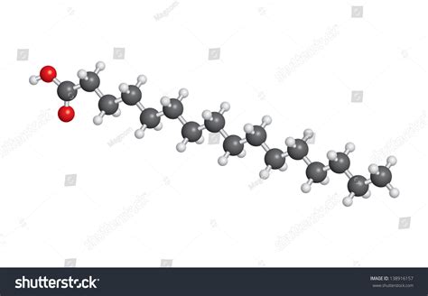 Palmitic Acid Palm Oil Molecule Ball Stok Vekt R Telifsiz