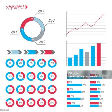 Persentase Infografis Vektor 5 10 15 20 25 30 33 35 40 45 50 55 60 65