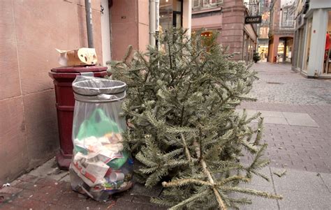 Strasbourg Patientez quelques jours encore pour jeter votre sapin de Noël