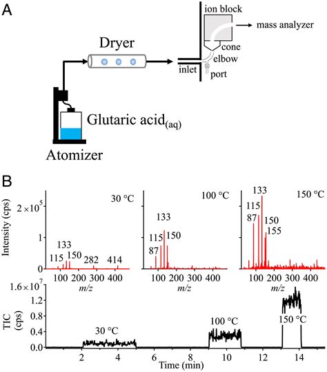 Toward A Molecular Understanding Of The Surface Composition Of