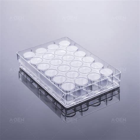 Wholesale Laboratory Disposable Plastic Lab Ps Multi Well Flat Bottom