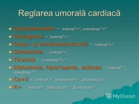 Reglarea Activit Ii Cardiace Mecanisme