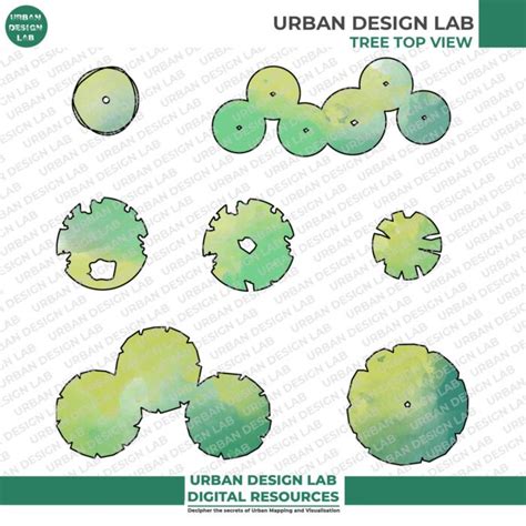 Illustrated Tree Top View Urban Design Lab