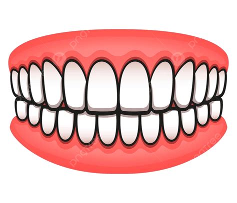 Tooth Prosthetics Clipart Png Vector Psd And Clipart With