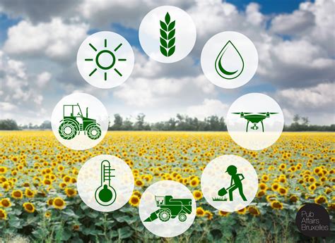 Un Agricoltura Pi Sostenibile E Intelligente Con L Innovazione