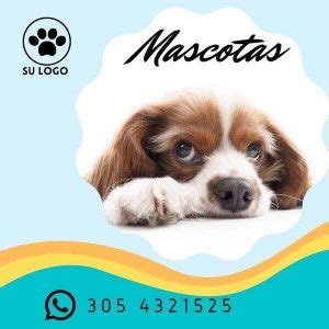 plantilla de catálogo en canva para mascotas mcct04 Bronce