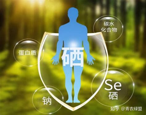 补硒要知道的知识：科学补硒摄入要适量，宜选择膳食补硒 知乎