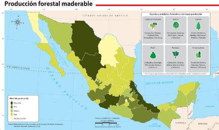 D Nde Est N Los Espacios Forestales Y Pesqueros En M Xico Nueva