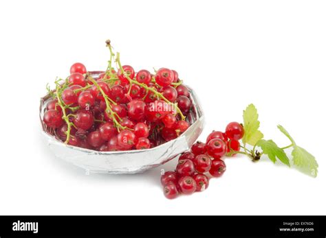 Fresh Currant Red Fruit In A Shiny Bowl Isolated Stock Photo Alamy