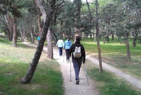 Cursos De Iniciaci N Marcha N Rdica Madrid El Retiro Y Casa De Campo