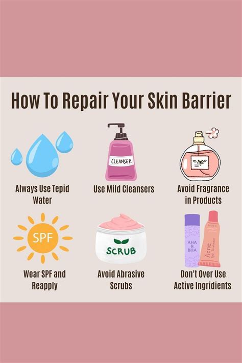 How To Repair A Damaged Skin Barrier Artofit