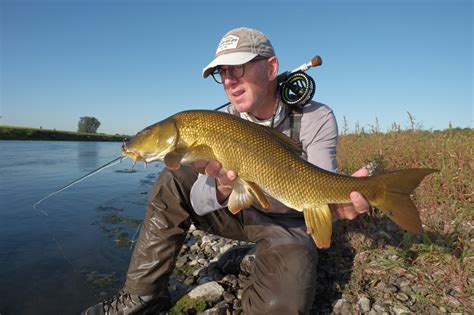 Fly Fishing For Barbel • Flyfish Circle