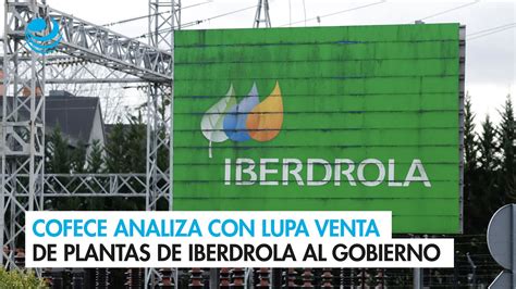 Cofece Analiza Con Lupa Venta De Plantas De Iberdrola Al Gobierno Youtube