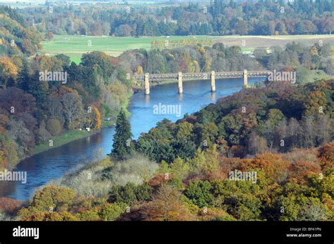 River tay scotland bridge trees hi-res stock photography and images - Alamy