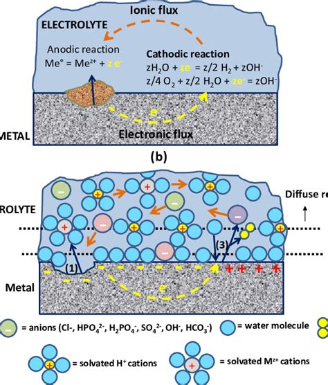 Scheme Illustrating A The Electrochemical Corrosion Process At A