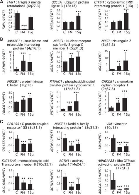 Confirmation Of The Differential Gene Expression By Qrtpcr Total Rna