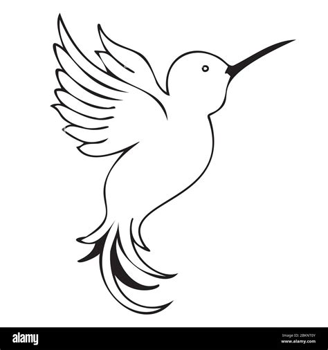 hummingbird silhouette vector illustration, cartoon drawing of ...