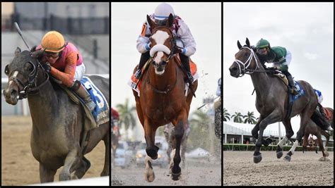 Slideshow Meet The 2020 Belmont Stakes Contenders Americas Best Racing