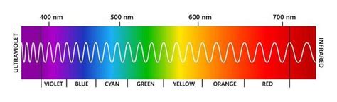 Visible Light Waves Diagram