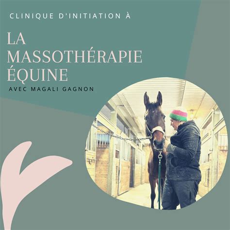 Clinique D Introduction à La Massothérapie équine — Equi Libre Equin