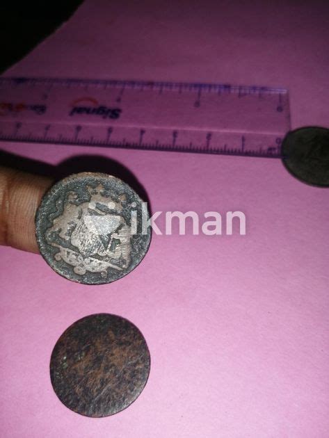 Old Coins In Medawachchiya Ikman